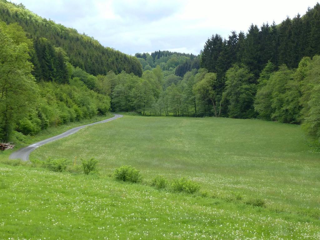 Pretty Holiday Home Near The Ski Area Schmallenberg Exterior foto