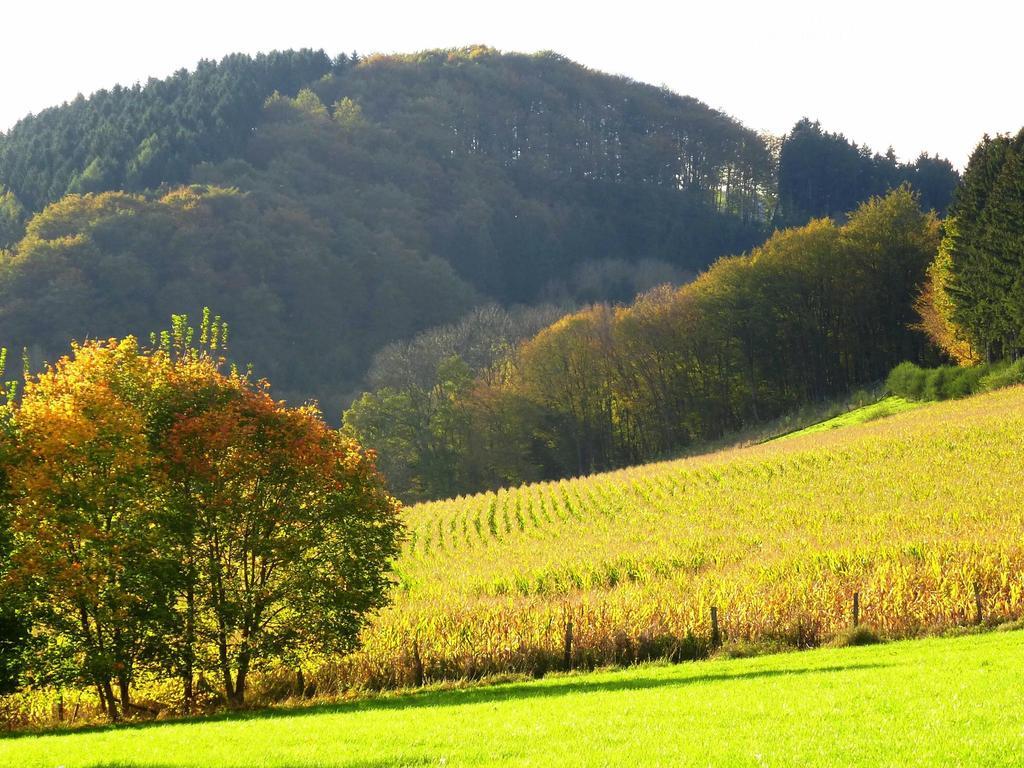 Pretty Holiday Home Near The Ski Area Schmallenberg Exterior foto