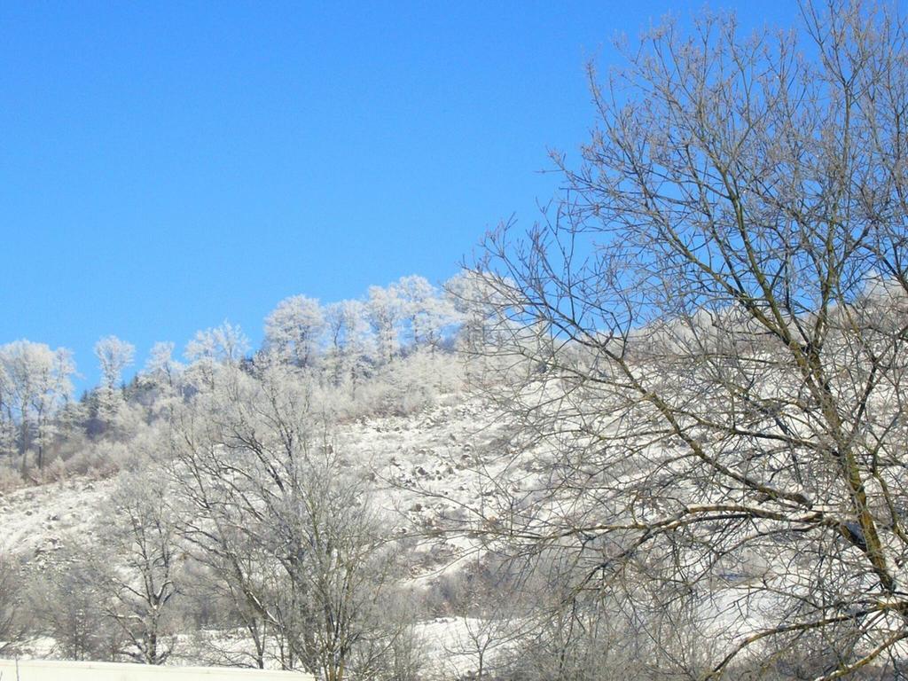 Pretty Holiday Home Near The Ski Area Schmallenberg Exterior foto